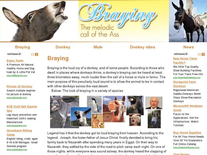 www.braying.com