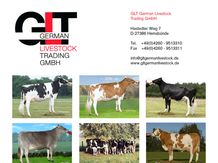 www.gltgermanlivestock.com