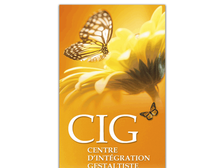 www.cigestalt.com