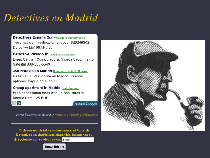 www.detectivesenmadrid.com