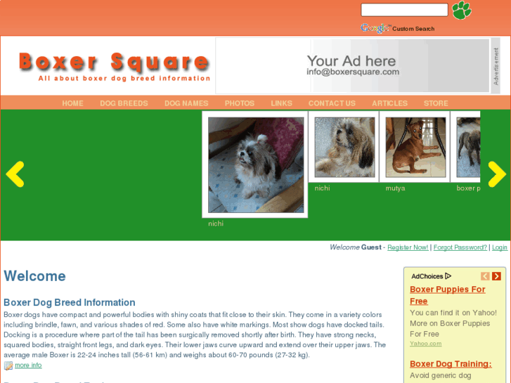 www.boxersquare.com