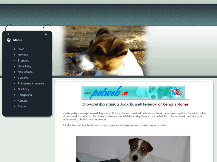 www.jackrussellterrier.sk
