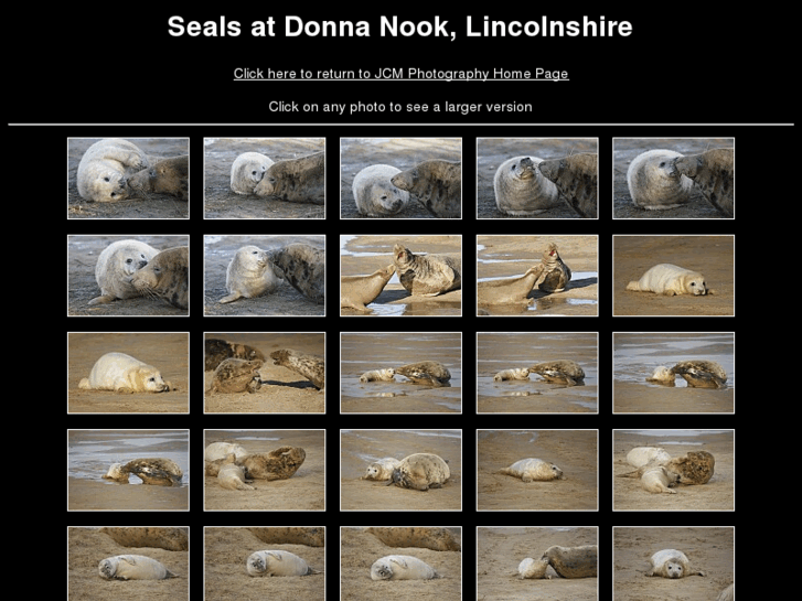 www.donnanook.com