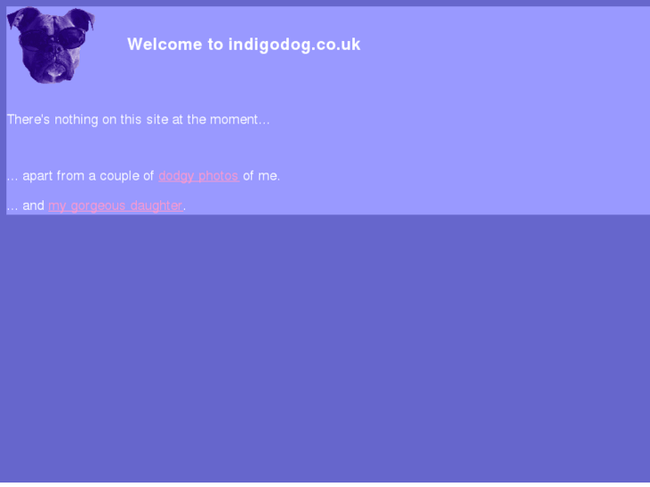 www.indigodog.co.uk
