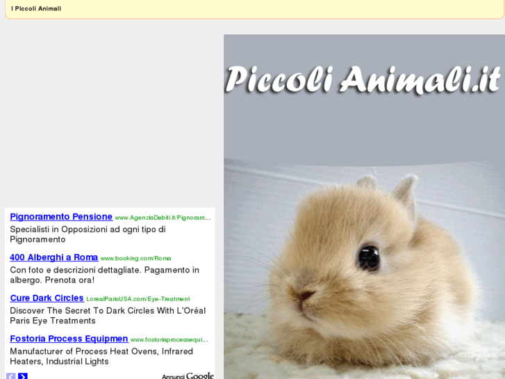 www.piccolianimali.it