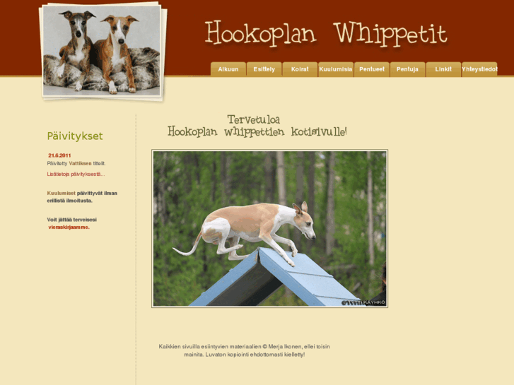 www.hilsson.com