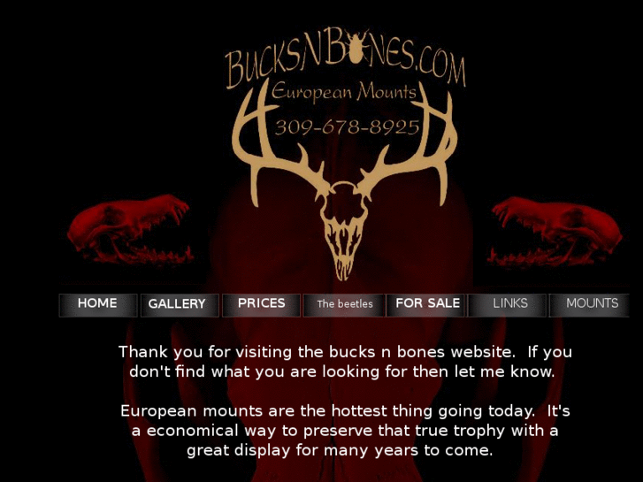 www.bucksnbones.com