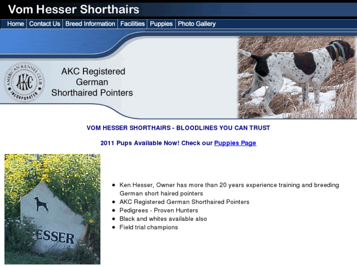 www.vomhessershorthairs.com