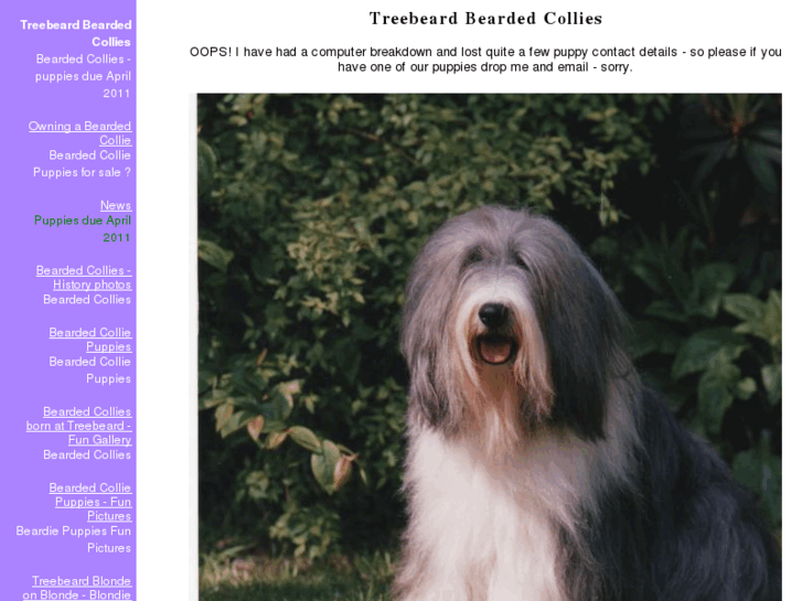 www.treebeardbeardedcollies.com