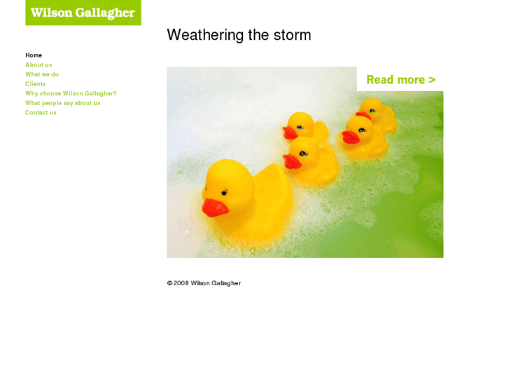 www.wilsongallagher.com