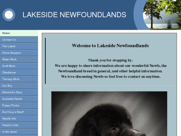 www.lakesidenewfs.com