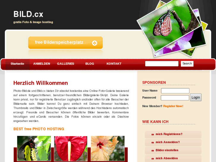 www.bild.cx