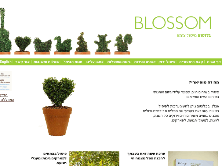 www.blossom.co.il