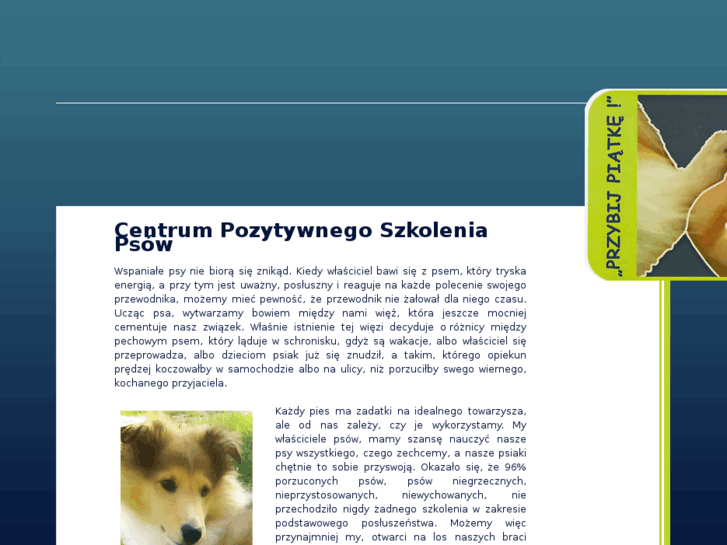www.przybijpiatke.com