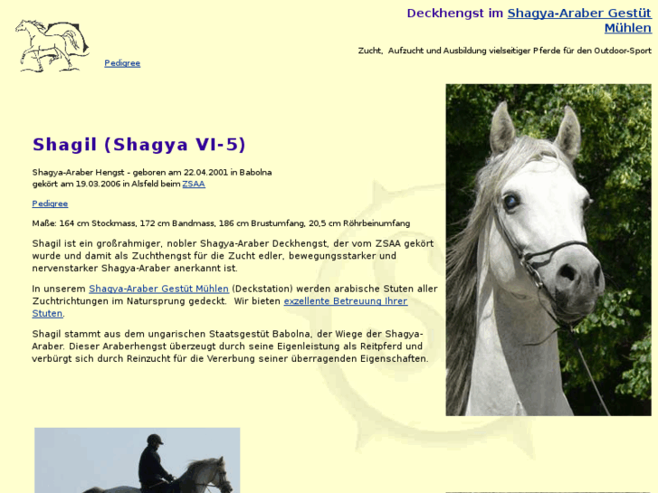 www.shagil.de