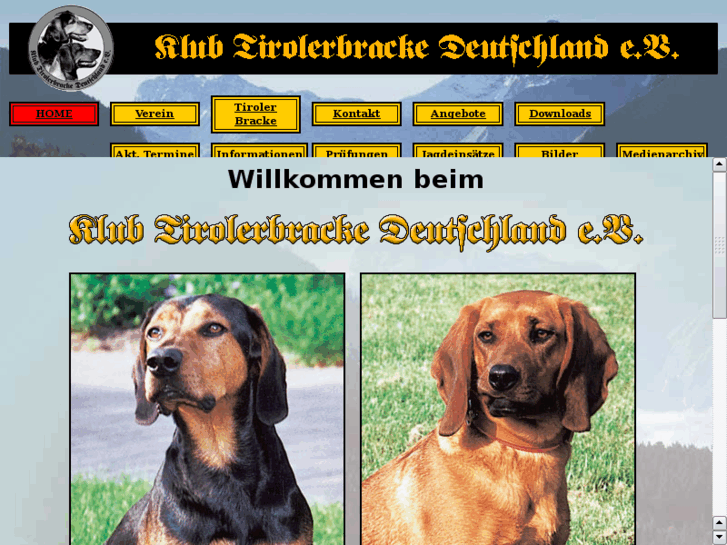 www.klub-tirolerbracke.de
