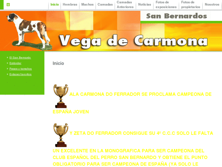 www.vegadecarmona.es