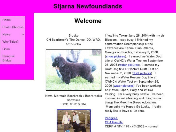 www.stjarnanewfoundlands.com