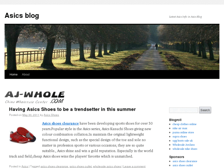 www.asicsblog.info