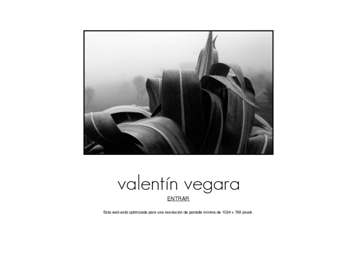 www.valentinvegara.com