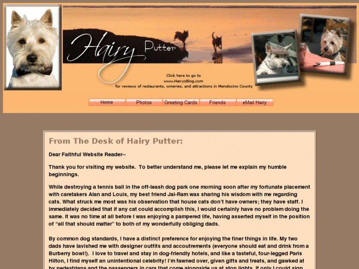 www.hairy-putter.com