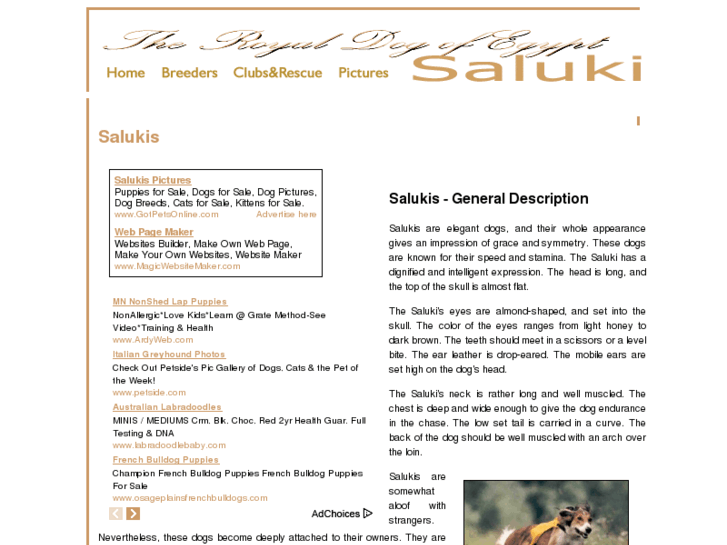 www.saluki-dogs.com