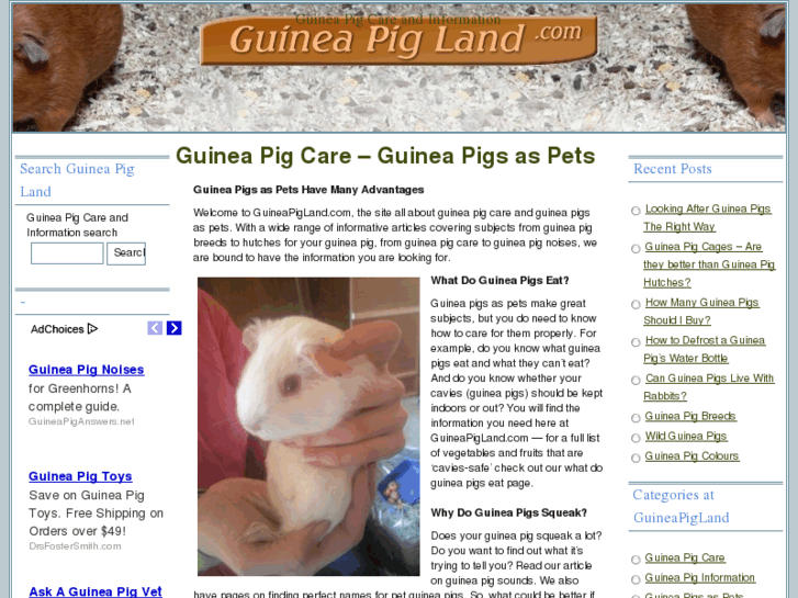 www.guineapigland.com