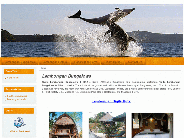 www.rigilslembongan.com