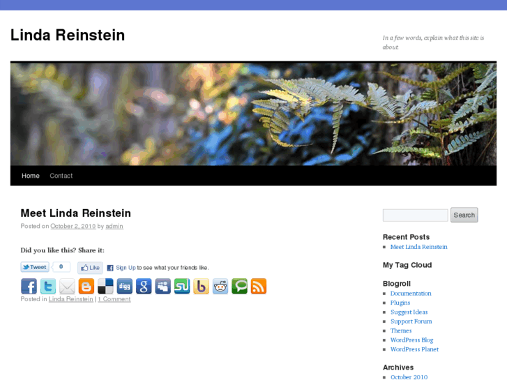 www.lindareinstein.com