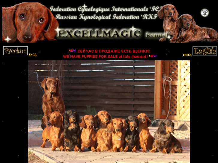 www.excellmagic.ru
