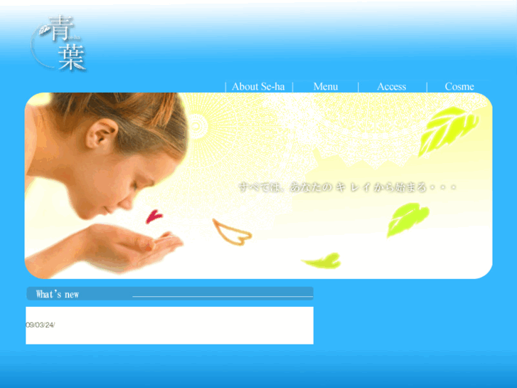 www.bcs-seha.com