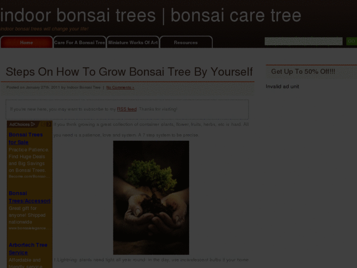 www.bonsai-tree-masters.com