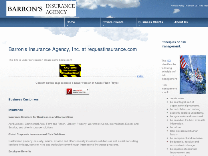 www.ameriseguros.com