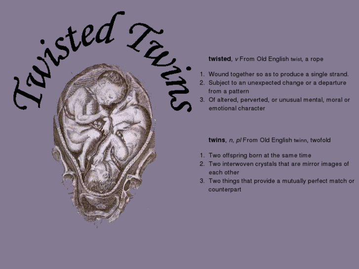 www.twistedtwins.com