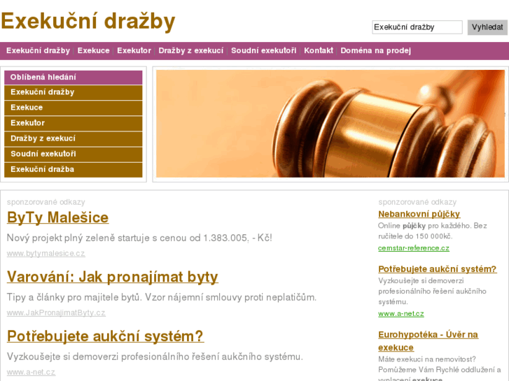www.exekucnidrazby.cz