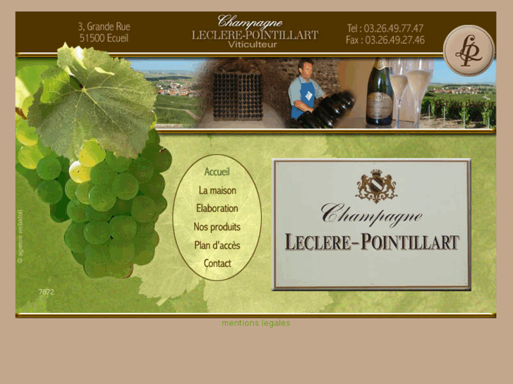 www.leclere-pointillart.com
