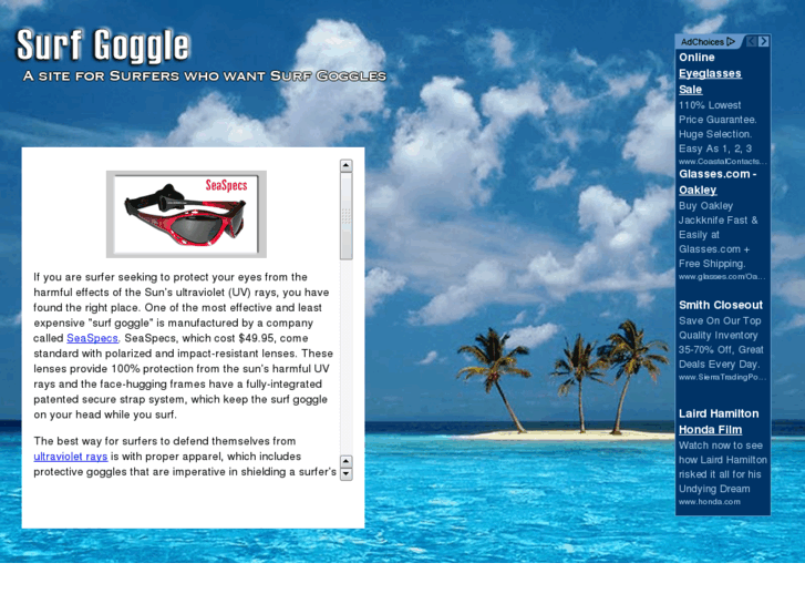 www.surfgoggle.com