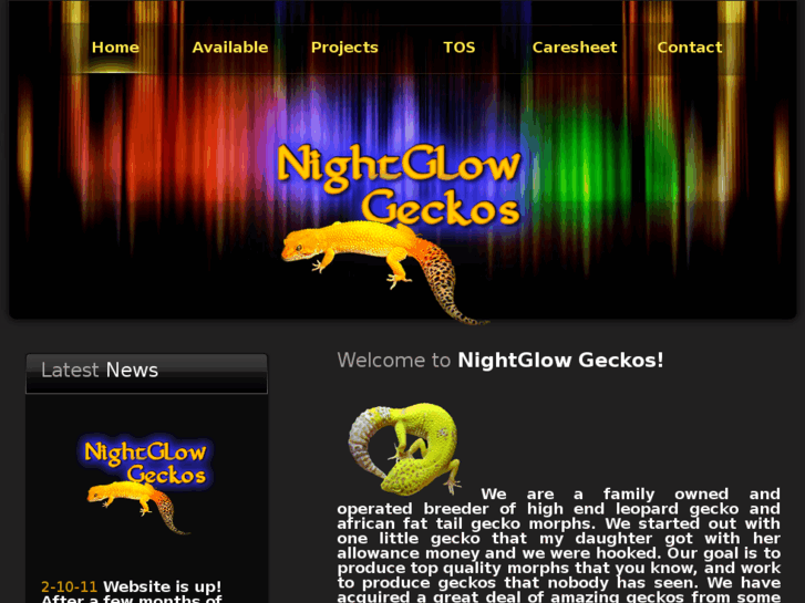 www.nightglowgeckos.com
