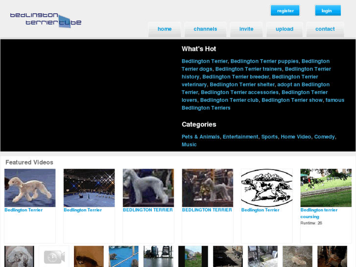 www.bedlingtonterriertube.com