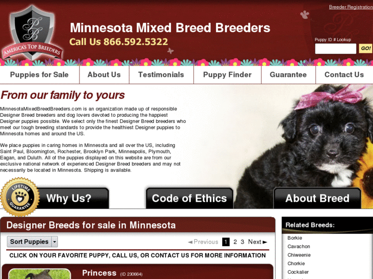 www.minnesotamixedbreedbreeders.com