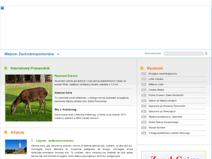 www.zp.pl