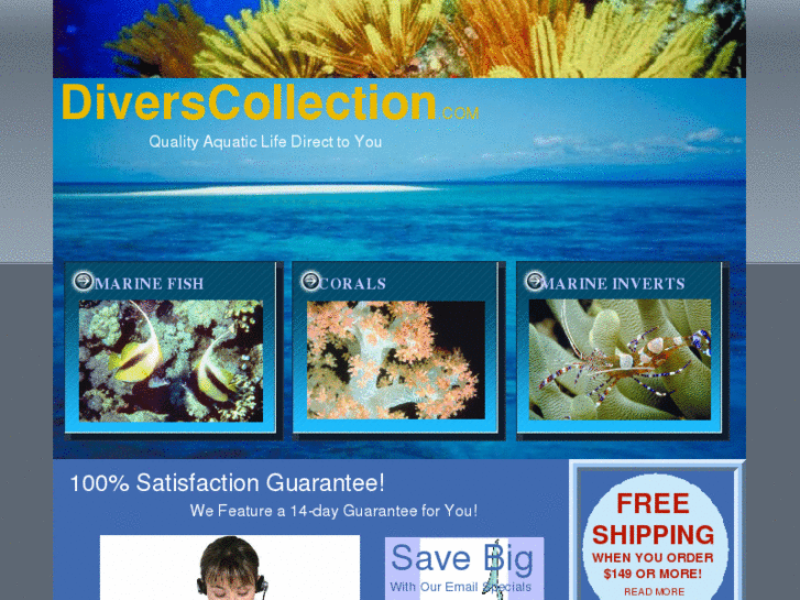 www.diverscollection.com