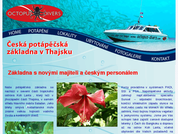 www.octopus-divers.com