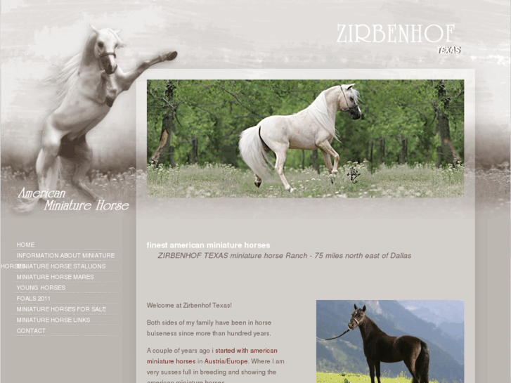 www.miniature-horse-texas.com
