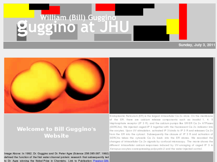 www.guggino.org