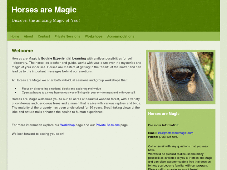 www.horsesaremagic.com