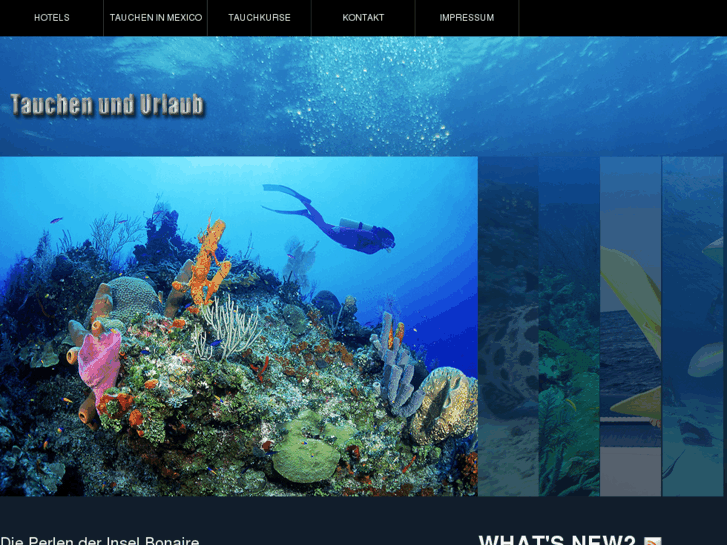 www.tauchen-und-urlaub.com
