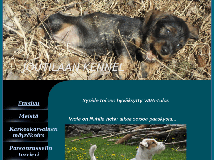 www.joutilaankennel.com