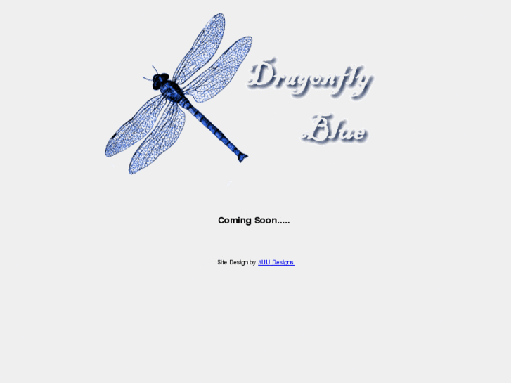 www.dragonflyblue.co.uk