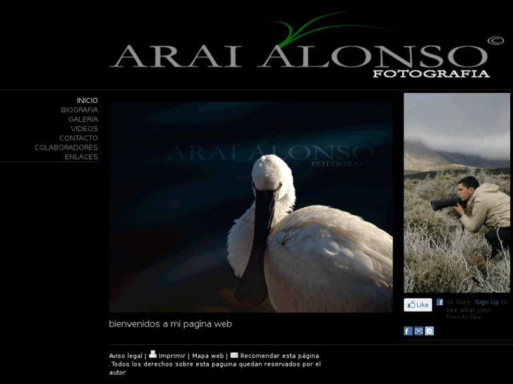www.araialonso.com